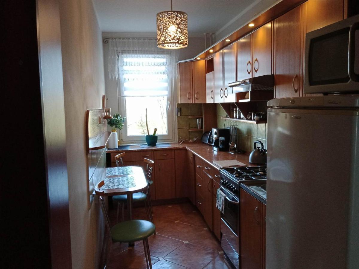 Apartament Na Ogrodach كولوبرزيغ المظهر الخارجي الصورة